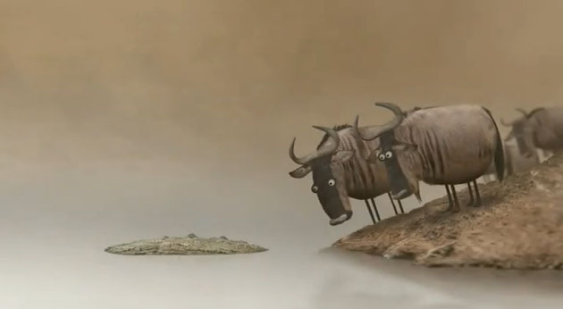 Wildebeest