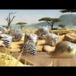 ROLLIN’ SAFARI – ‘The Waterhole’ – Official Trailer FMX 2013