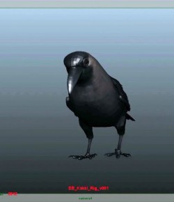 Crow Yapım Aşaması