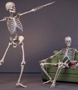 İnsan Anatomisine Giriş