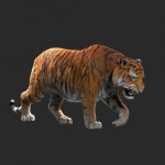 Lılyhammer Tıger  – Yapım Aşaması