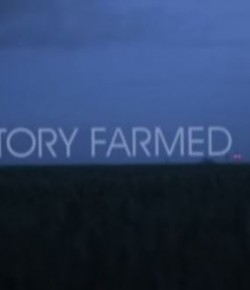 Factory Farmed Kısa Film – Gareth Edwards