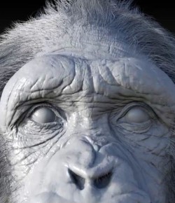BINGLE CHIMPFALL – Yapım Aşaması