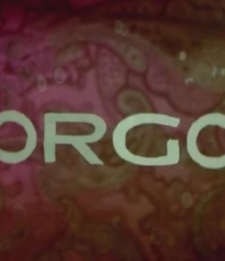 Forgot  – Kısa Film