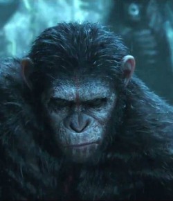 Dawn of the Planet of the Apes Yapım Aşaması