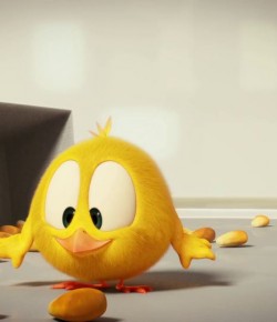 CHICKY KISALAR – CUBE CREATIVE