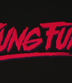 KUNG FURY