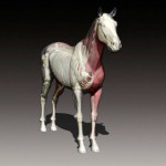 INSIDE OUT – A HORSE WITH NO NAME