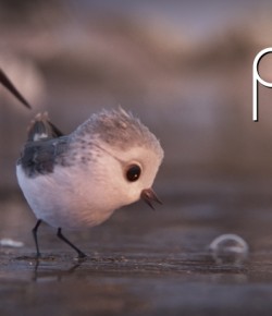 PIPER (KISA ANİMASYON)