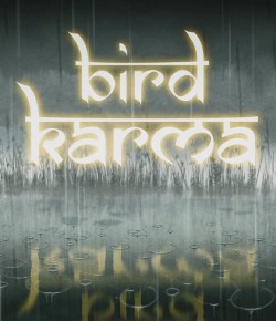 BIRD KARMA (KISA ANİMASYON)