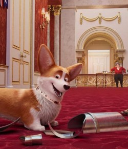 HAFTANIN VİZYON FİLMİ: CORGİ