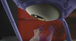 THE EYE (KISA ANİMASYON: CENK KÖKSAL)